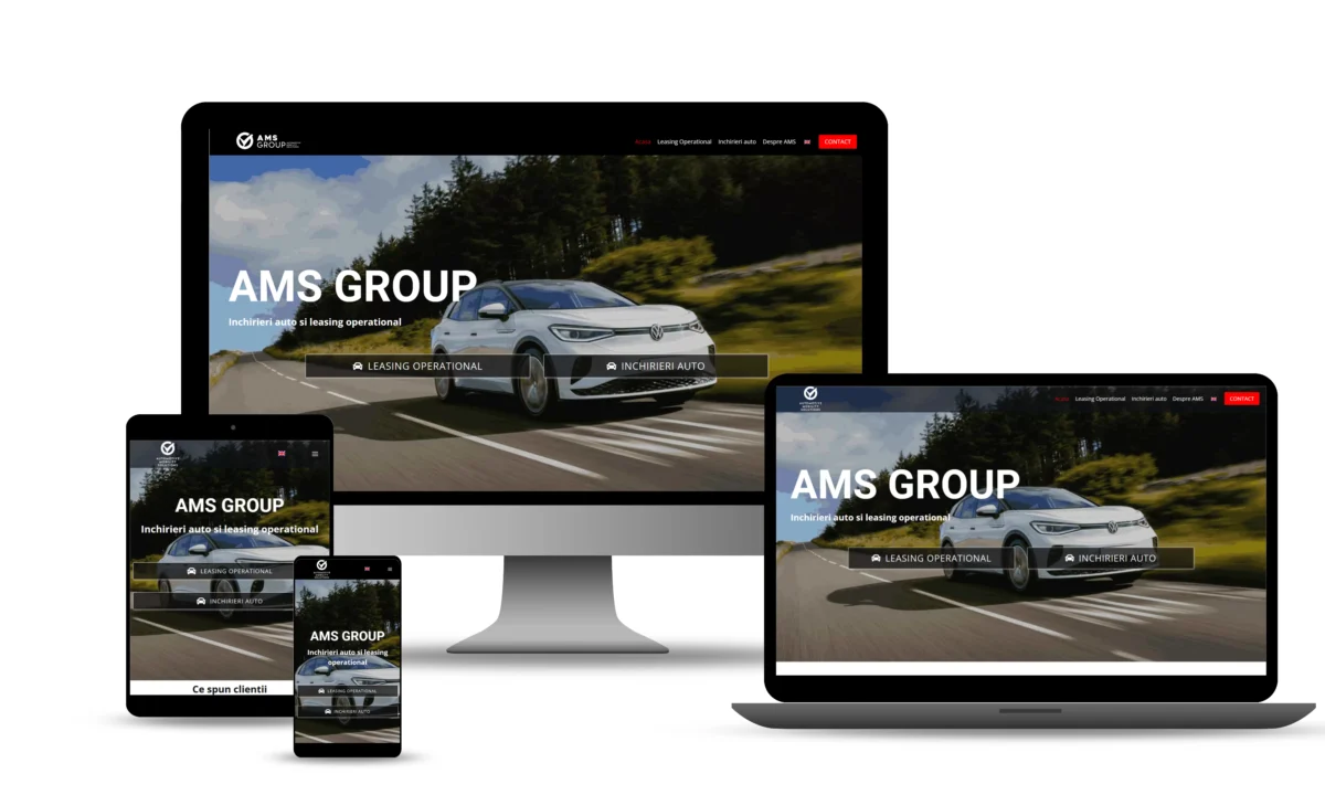 AMS Group - captură ecran proiect