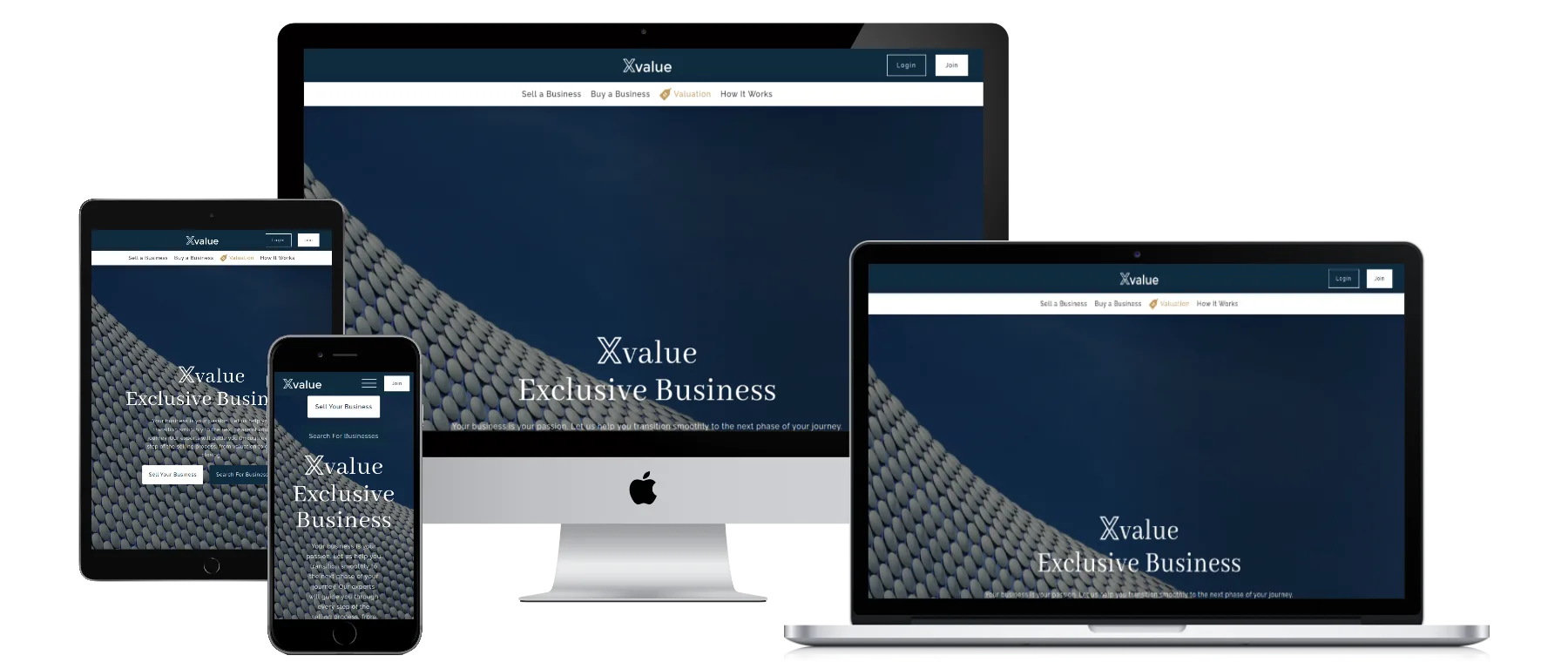 XValue - captură ecran proiect